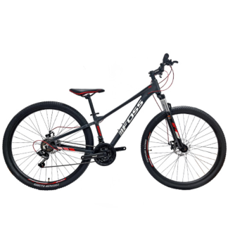 Bicicleta Foss JOY Niño Aro 29
