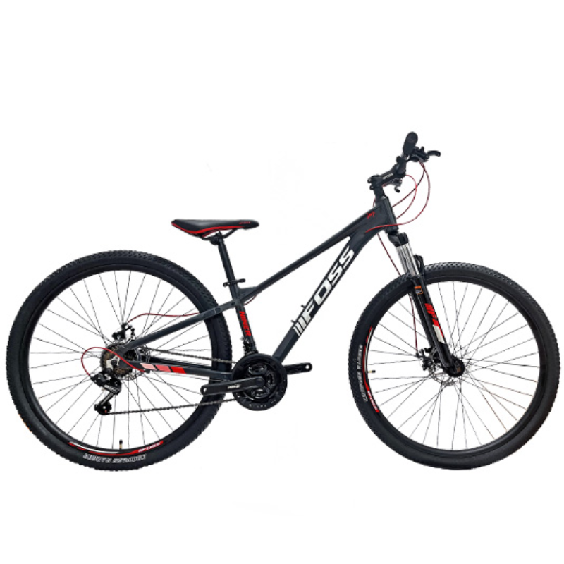 Bicicleta Foss JOY Niño Aro 29